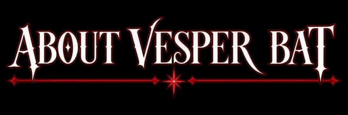 About Vesper Bat